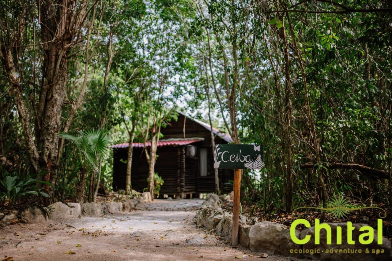 Hotel El Chital Раудалес Экстерьер фото
